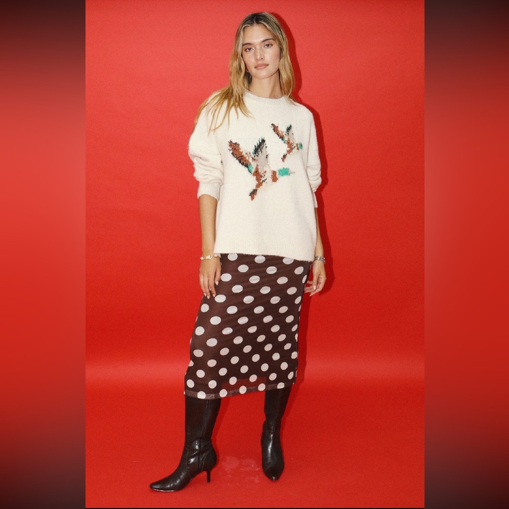 Bailey Rose Cream Flying Ducks Knit Sweater